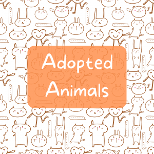adopted animals angel rabbit rescue